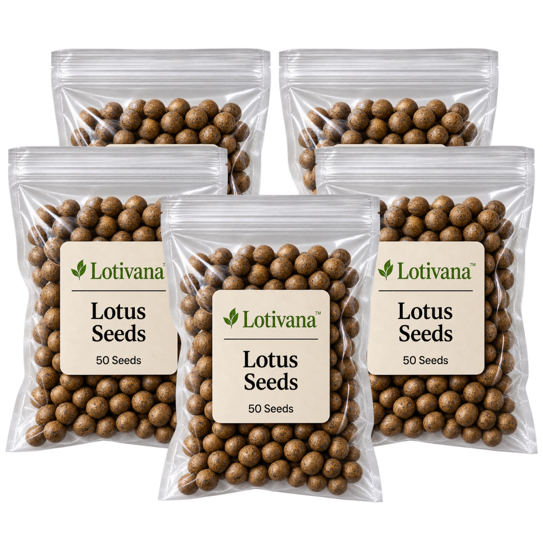 Lotivana™